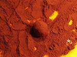 truffe-dans la poudre de cacao