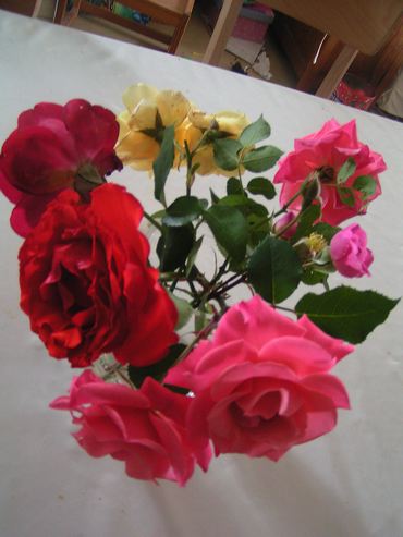 bouquet_de_roses.jpg