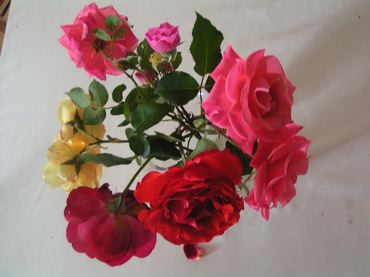 roses_bouquet.jpg