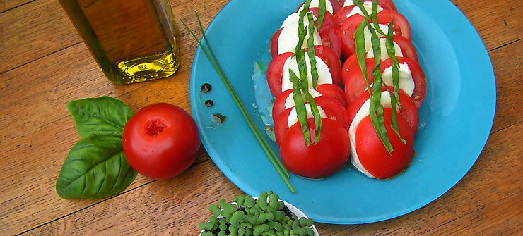 recette des tomates mozzarela